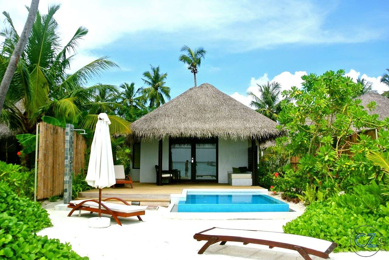 Малдиви, кокосово дърво онлайн пъзел