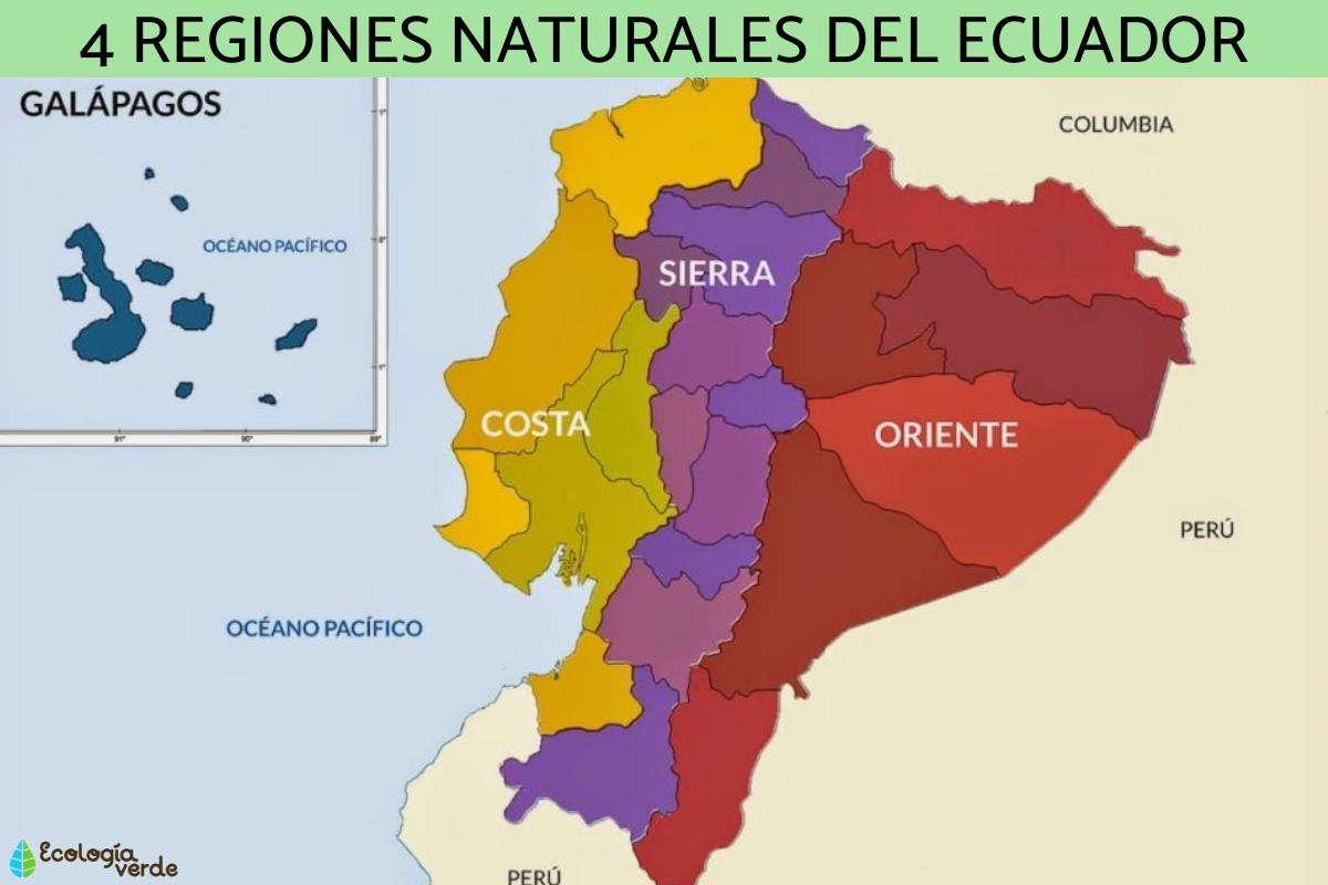 Ecuador och dess naturliga regioner Pussel online
