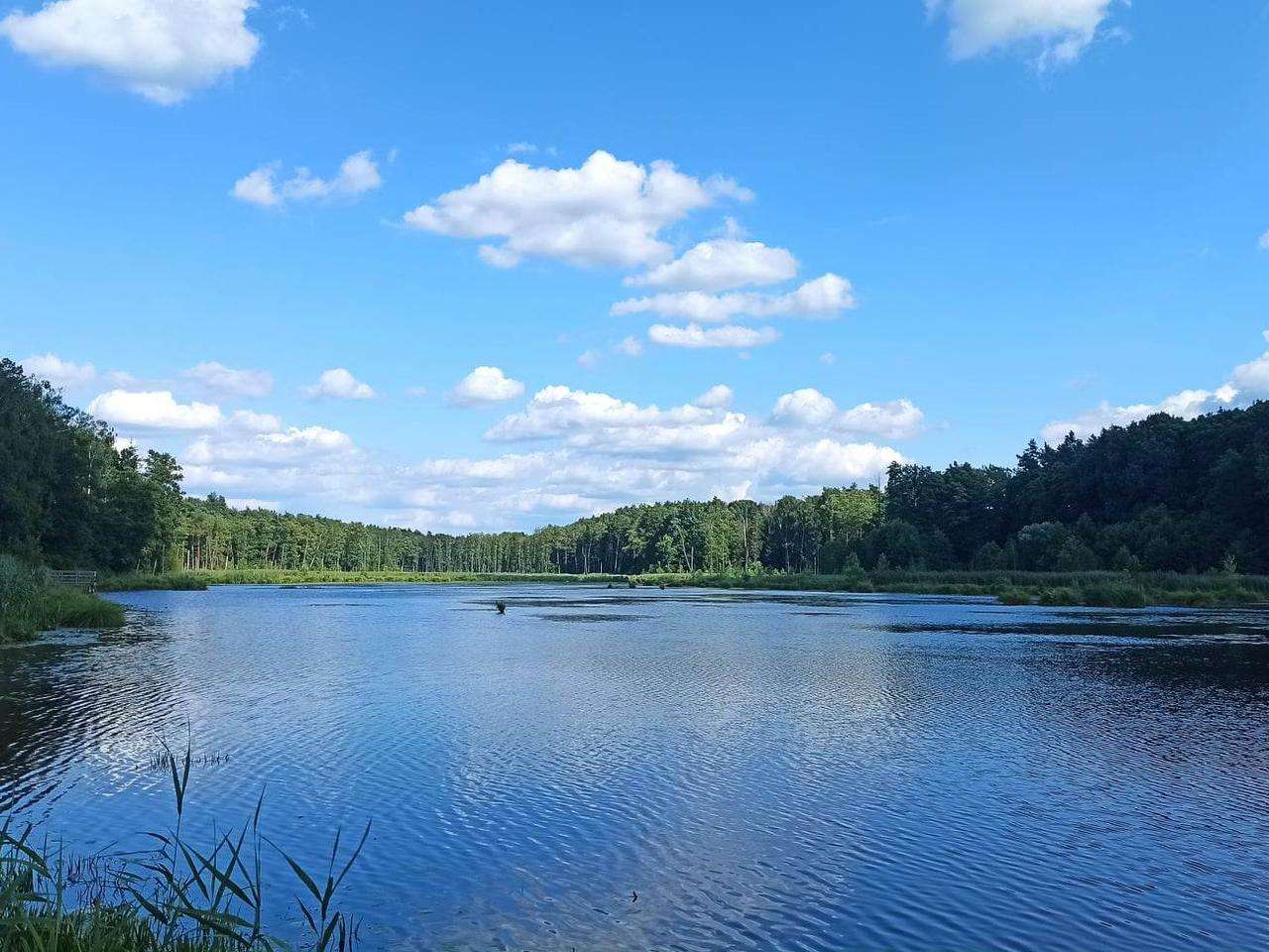 ポーランドの湖の風景 ジグソーパズルオンライン