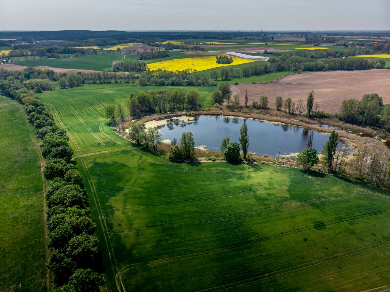 Озерный пейзаж в Польше пазл онлайн