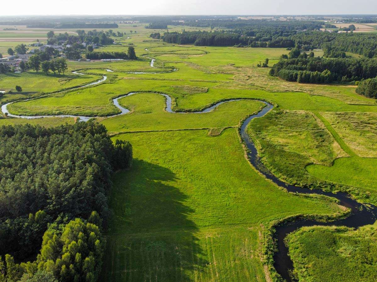 La valle del fiume Liwiec puzzle online