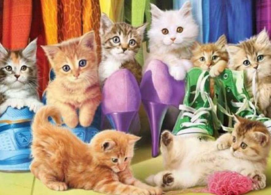 Маленькі кошенята онлайн пазл