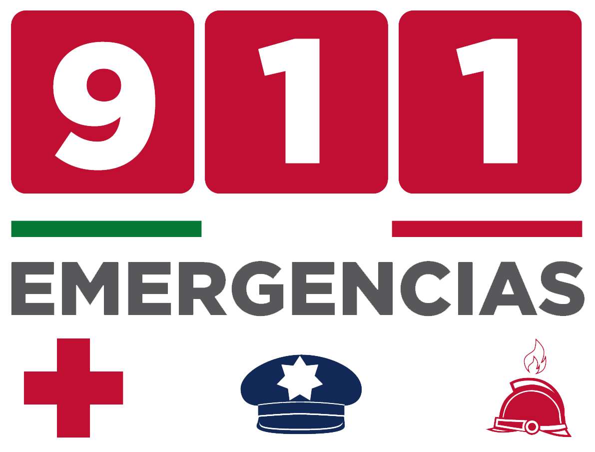 EMERGENCIES online puzzle