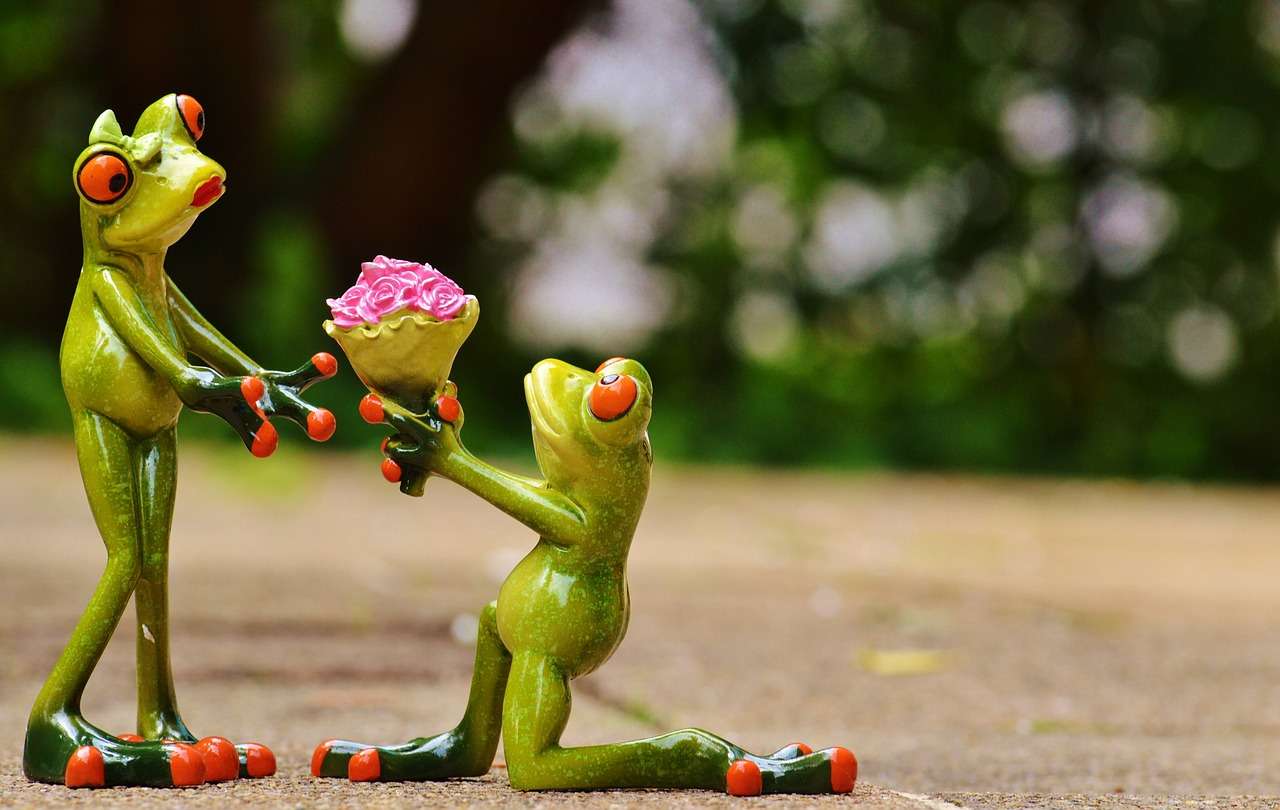 Frog's proposal jigsaw puzzle online