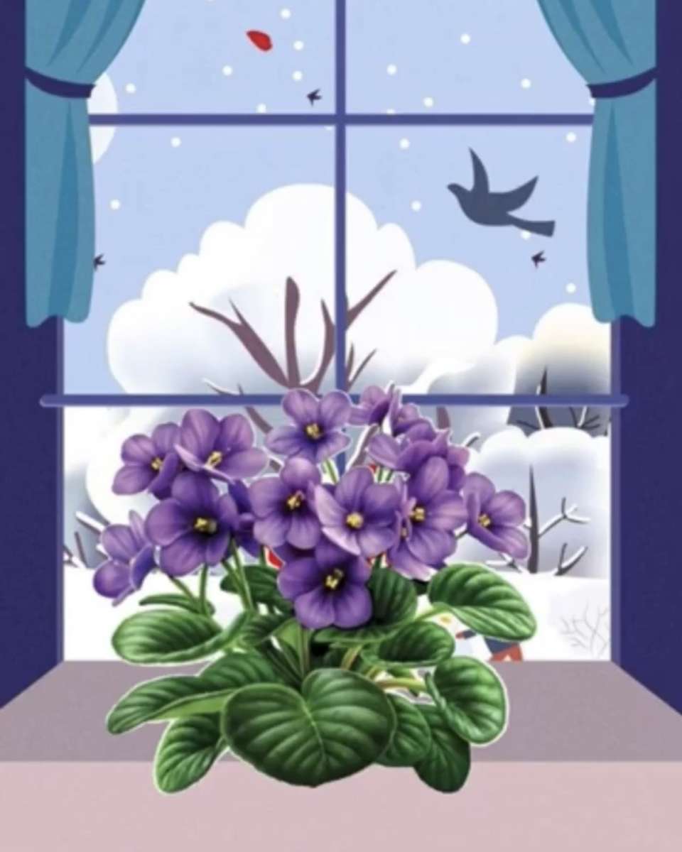 Blumen auf der Fensterbank. Violett Online-Puzzle