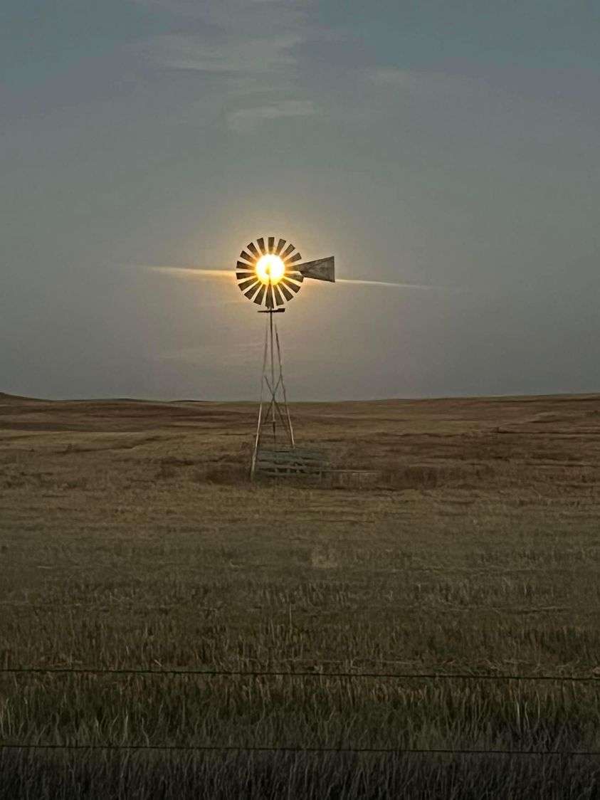 molino de viento en un campo de trigo rompecabezas en línea