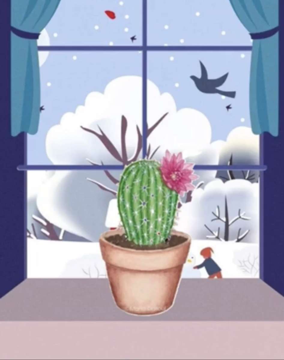 Kaktus rozkvetl online puzzle