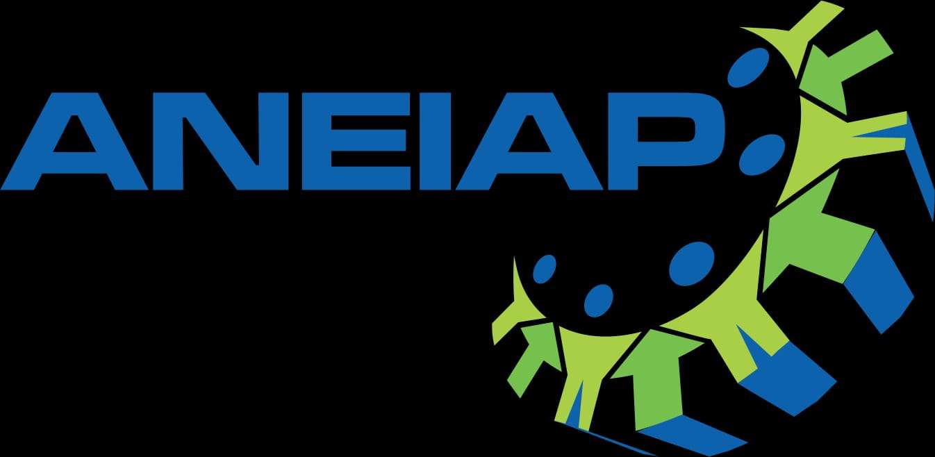 Logo ANEIAP puzzle online
