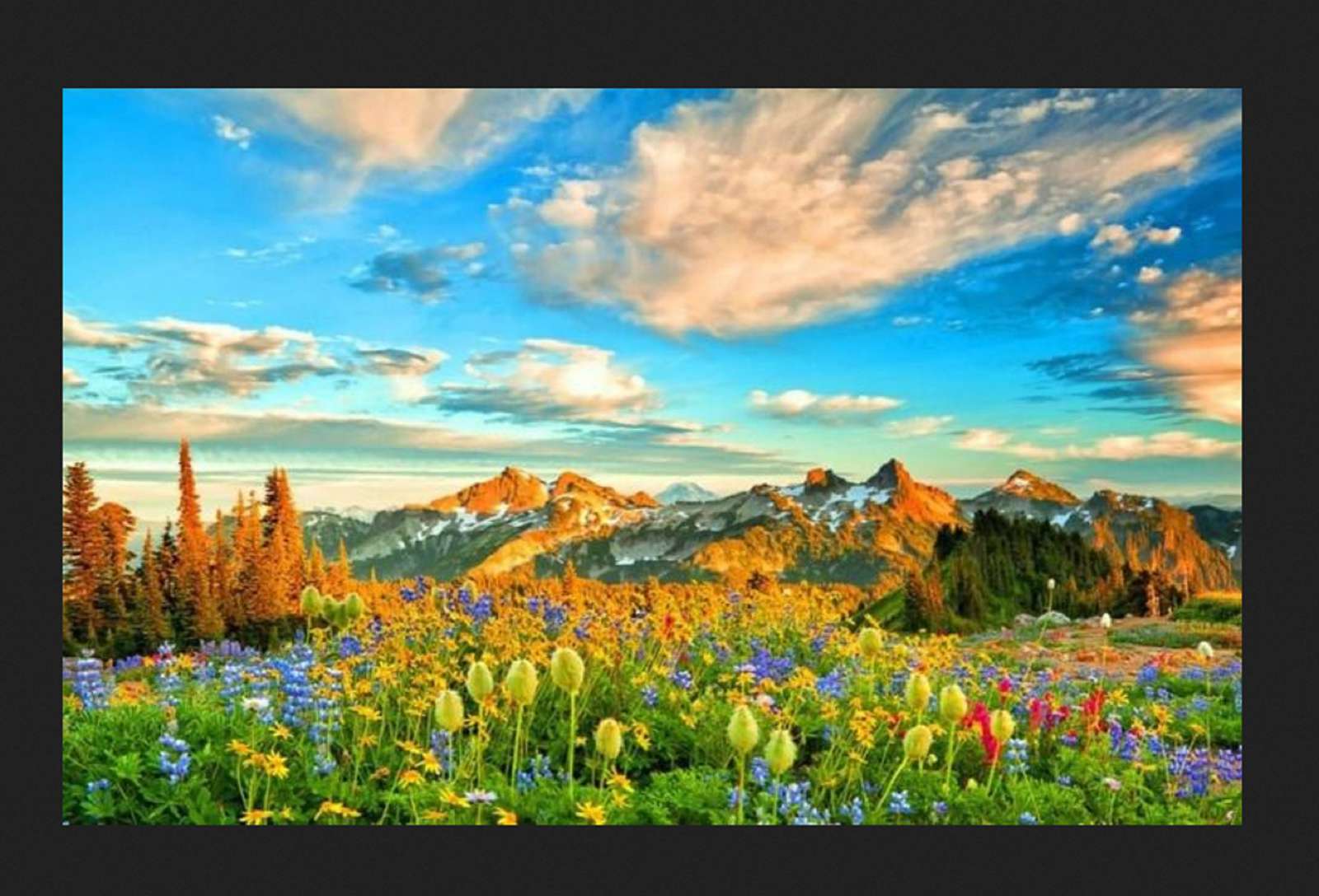 vackert bergslandskap-äng Pussel online