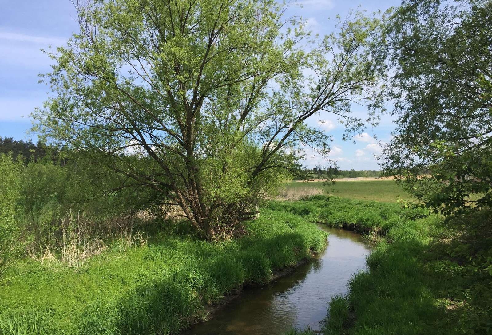 Rivière Utrata, est de la Pologne puzzle en ligne