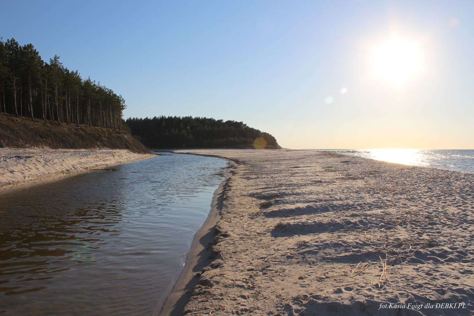 Piaśnicafloden, Dąbki pussel på nätet