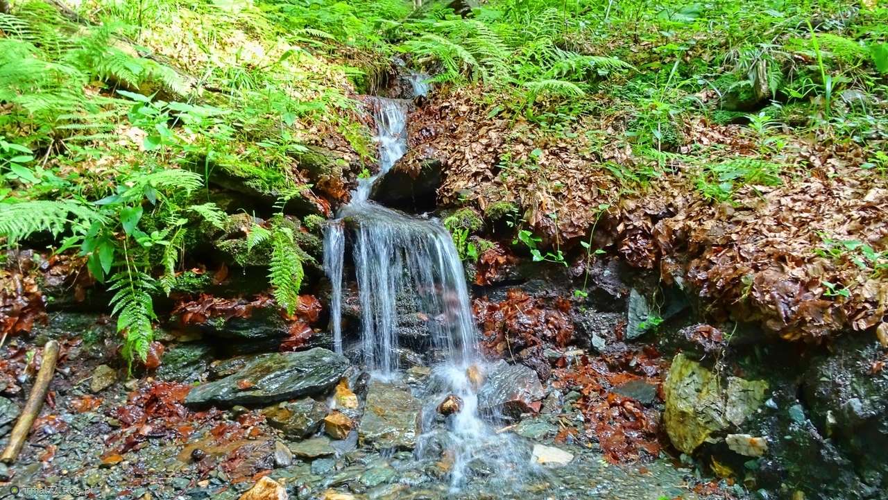 オパウスキエ山脈の小川 ジグソーパズルオンライン