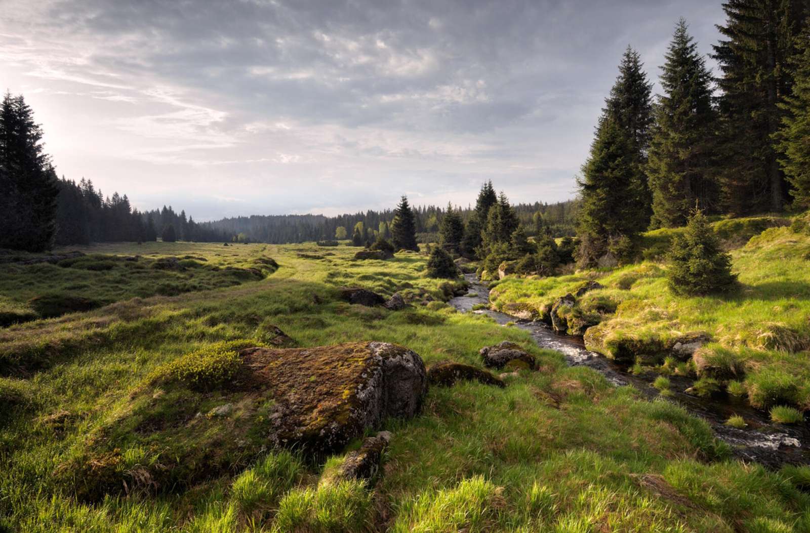 Parque Nacional Šumava, República Checa rompecabezas en línea