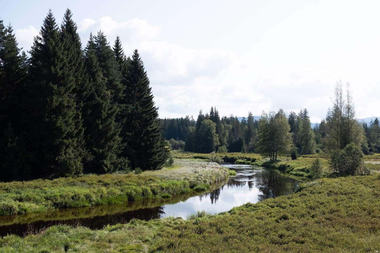 Національний парк Шумава, Чехія онлайн пазл
