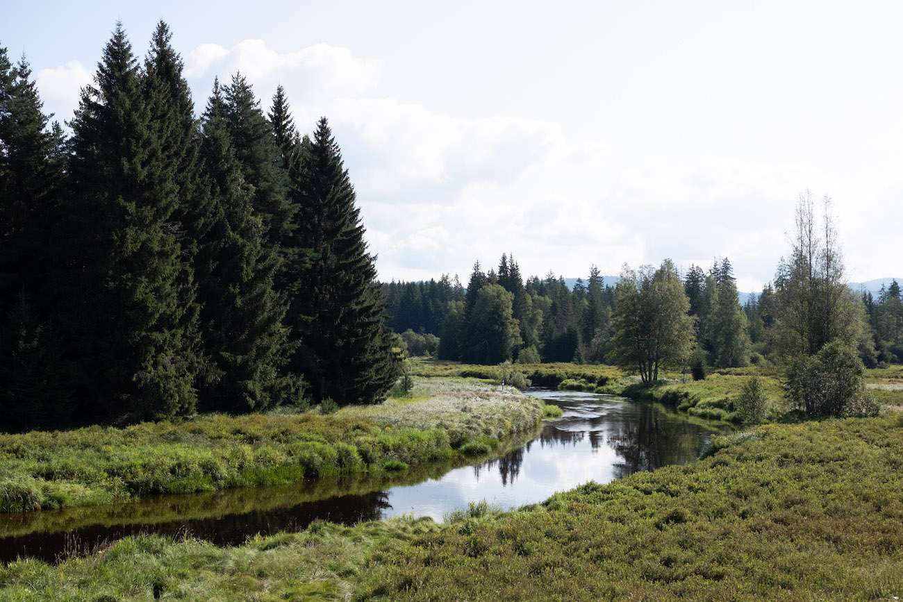 Εθνικό πάρκο Šumava, Δημοκρατία της Τσεχίας online παζλ