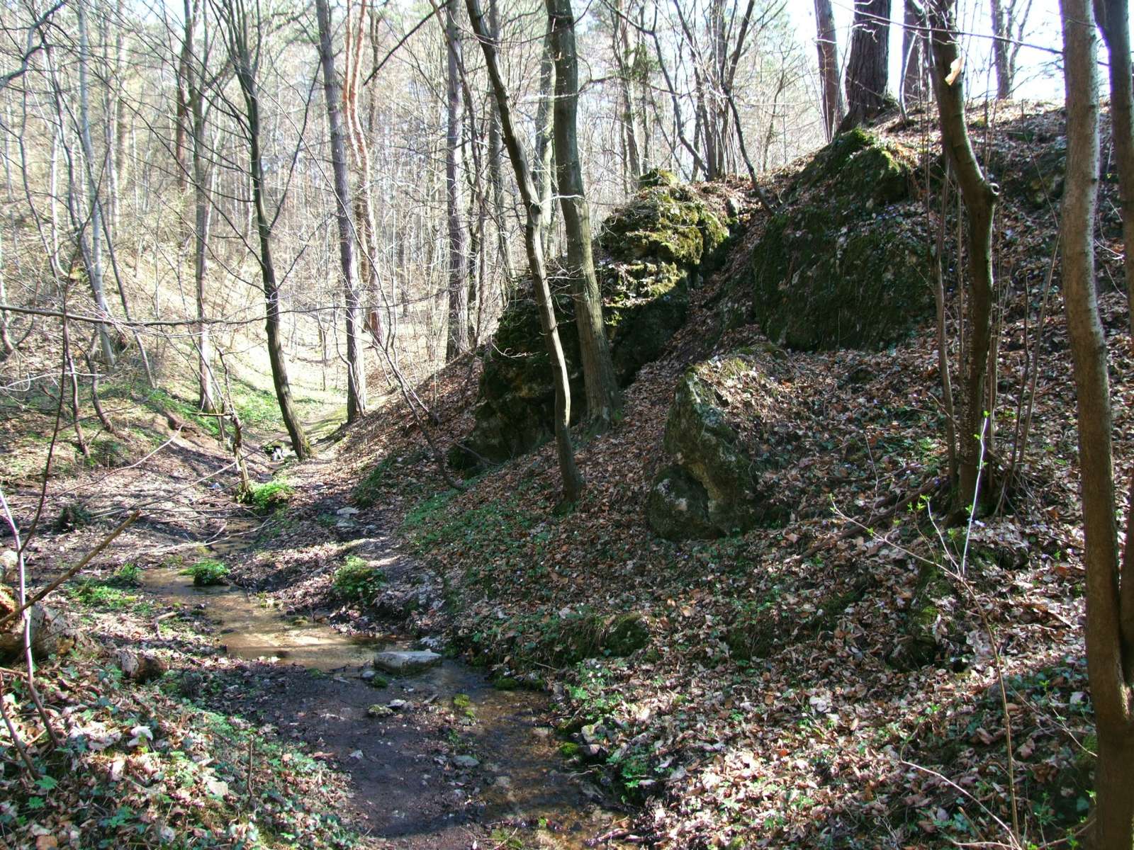 Rudno stream valley online puzzle