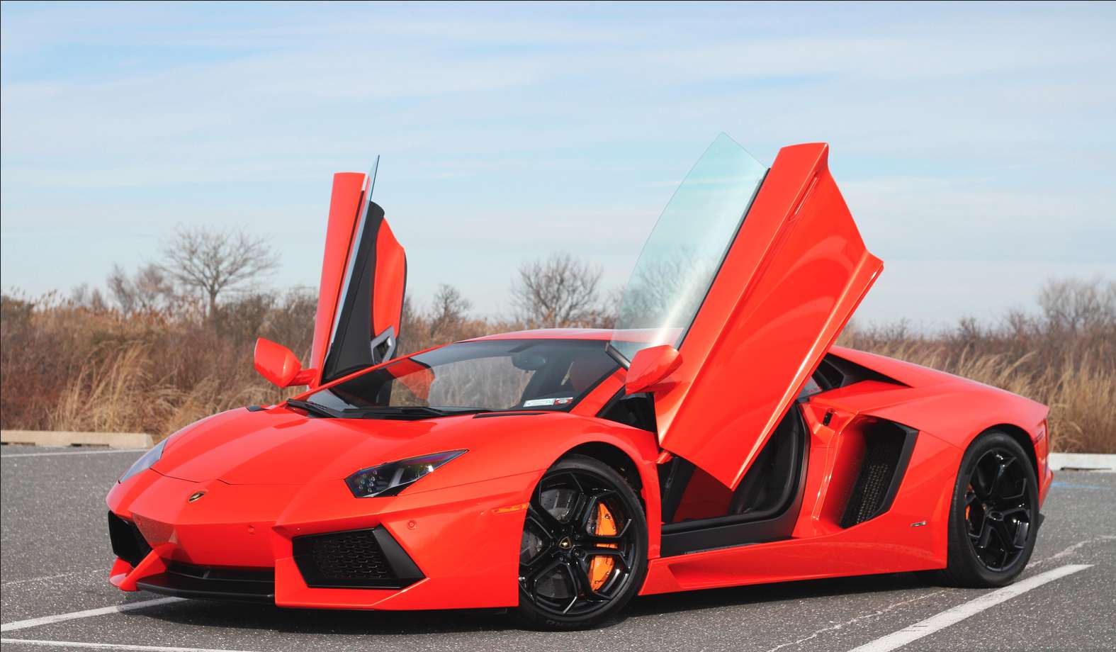 красиво, луксозно Lamborghini онлайн пъзел