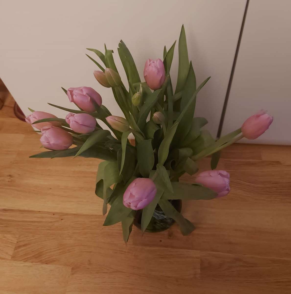 розовые тюльпаны на танцполе онлайн-пазл