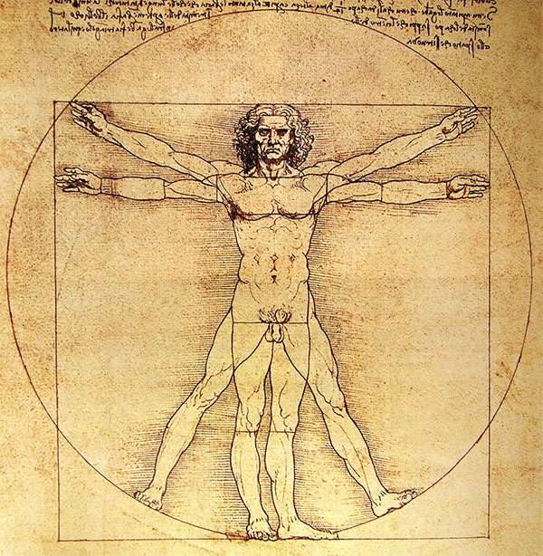 vitruvian man pussel på nätet