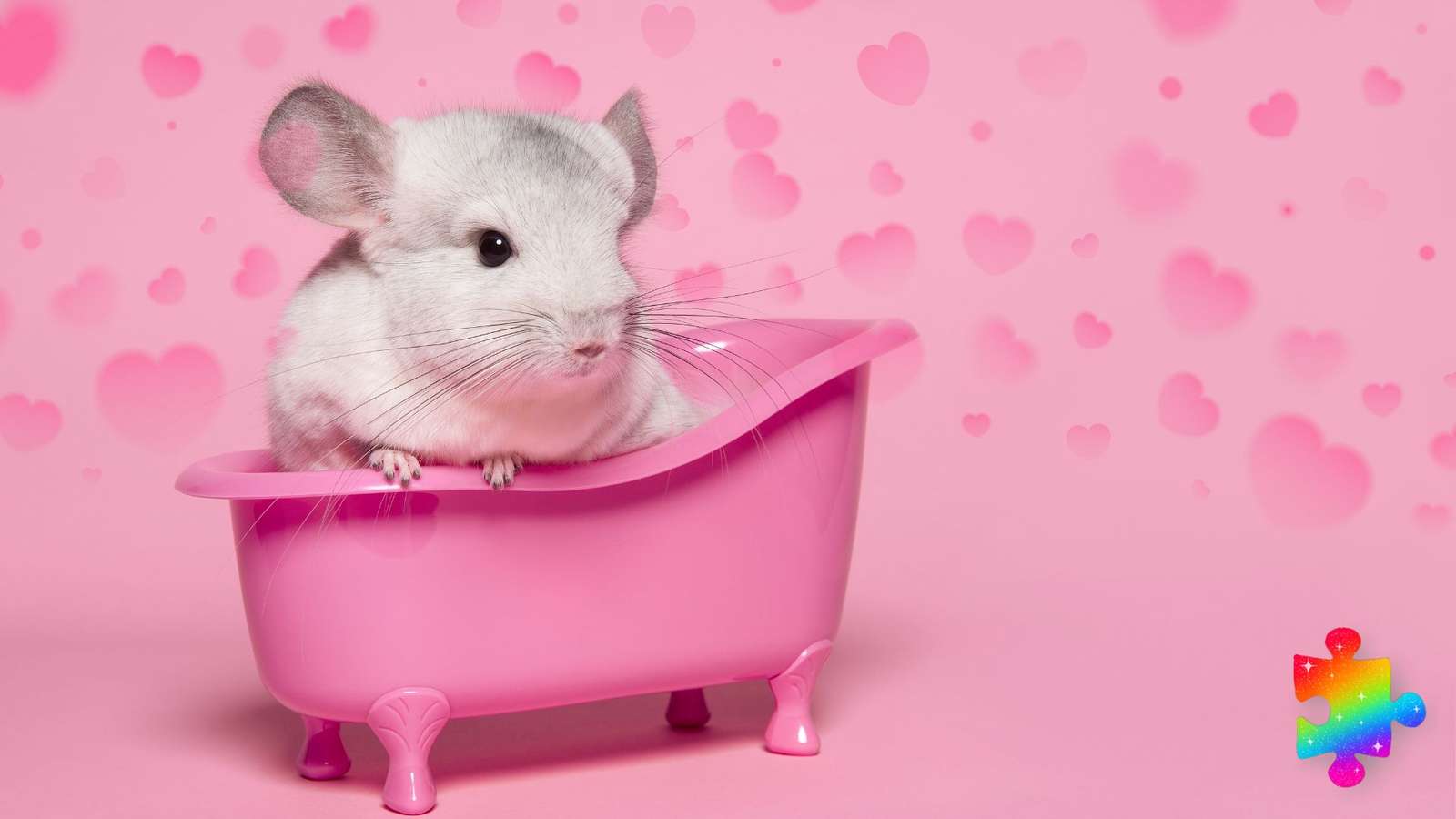 Pinky Chinchilla Pussel online