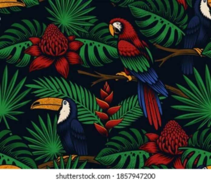 beau toucan tropical puzzle en ligne