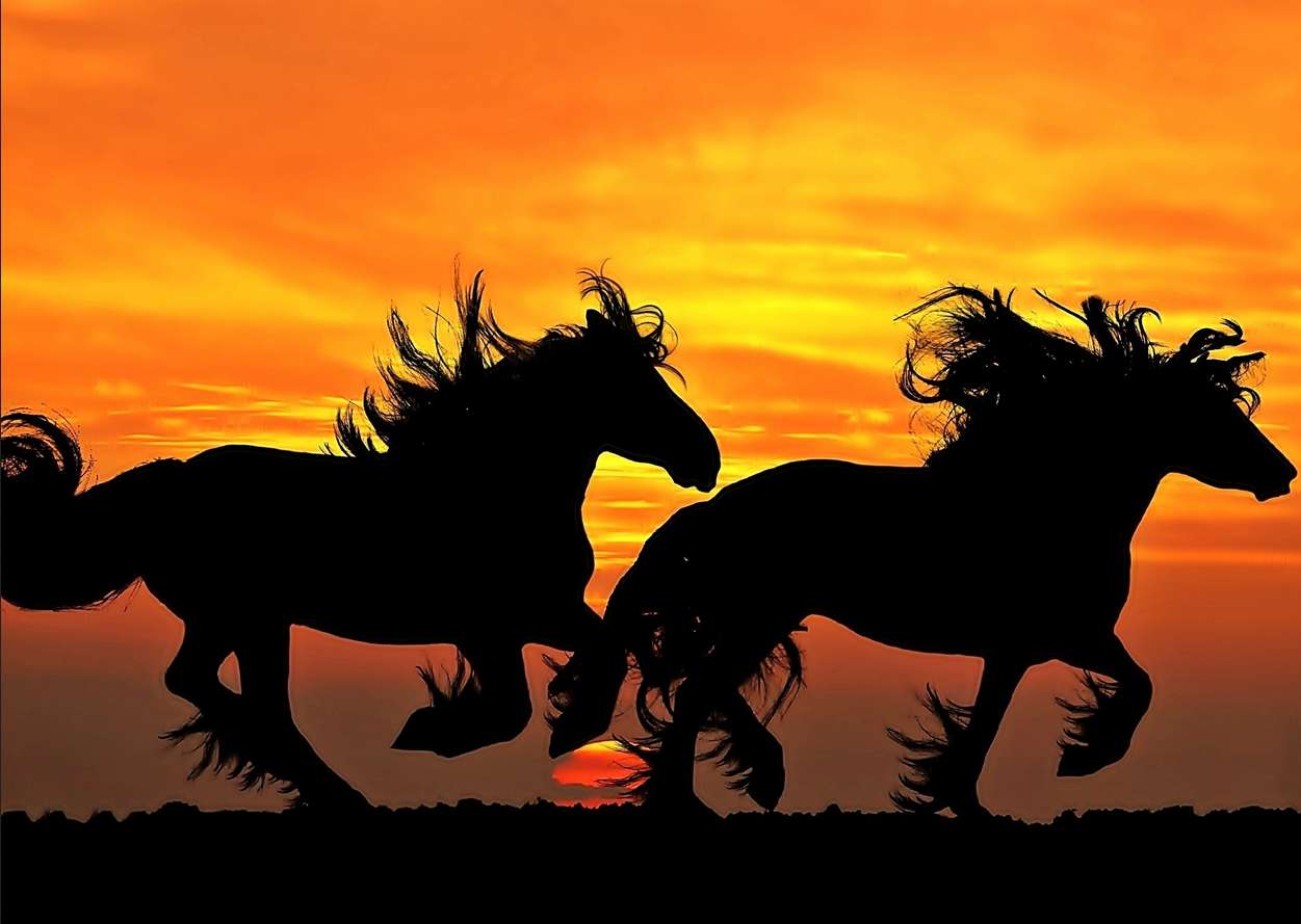 horses and sunset online puzzle