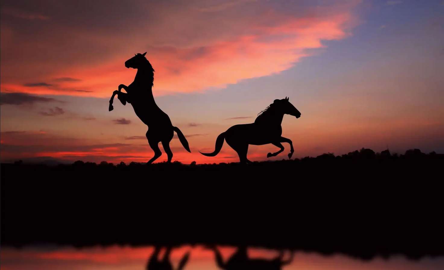 άλογα και ηλιοβασίλεμα online παζλ