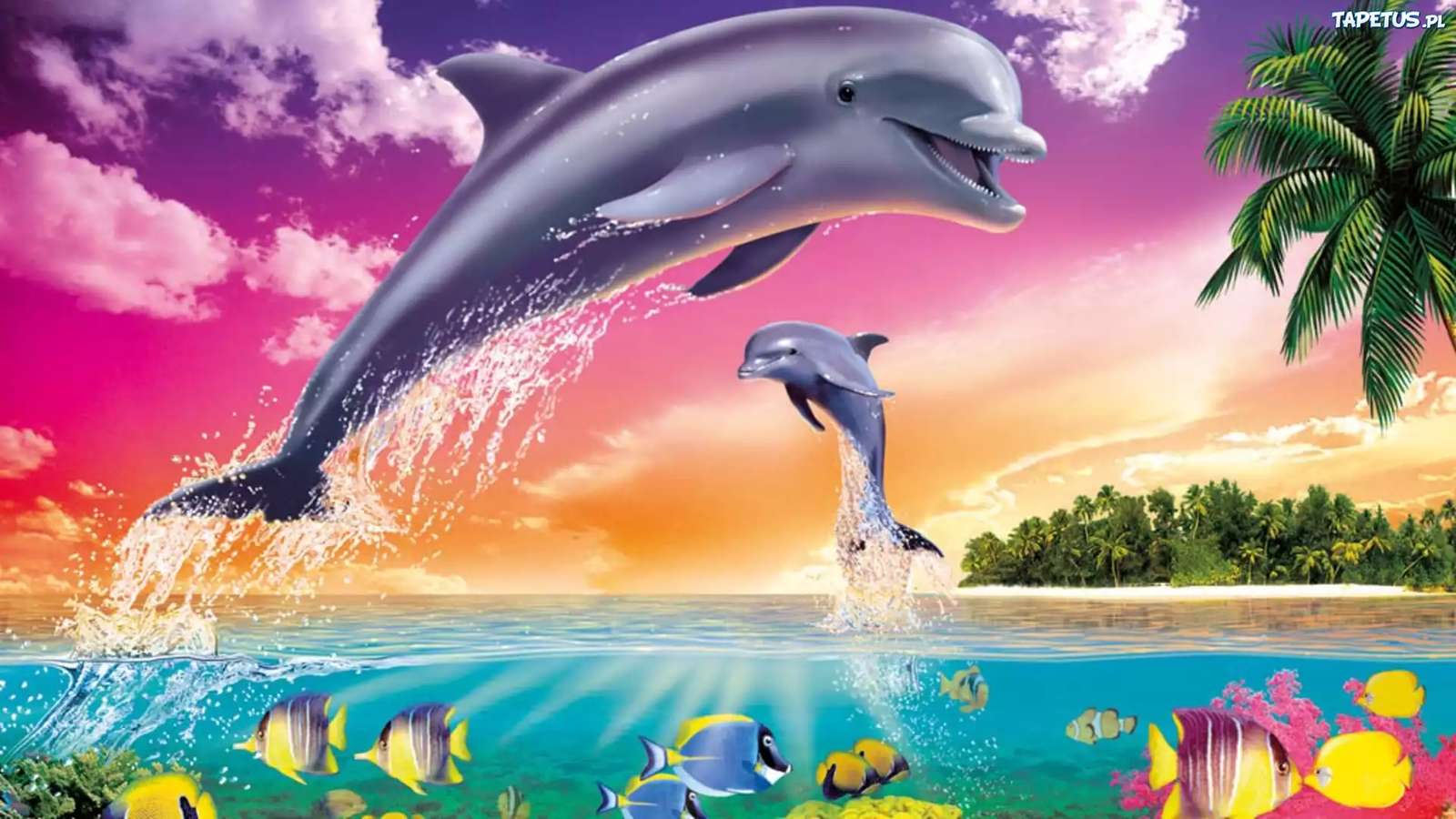 Golfinhos felizes puzzle online