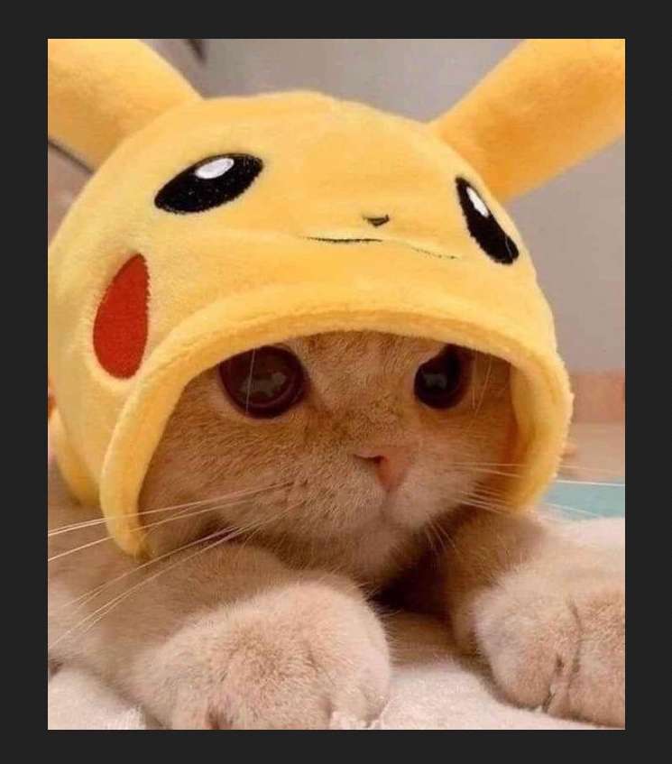 pikachu kitten online puzzel