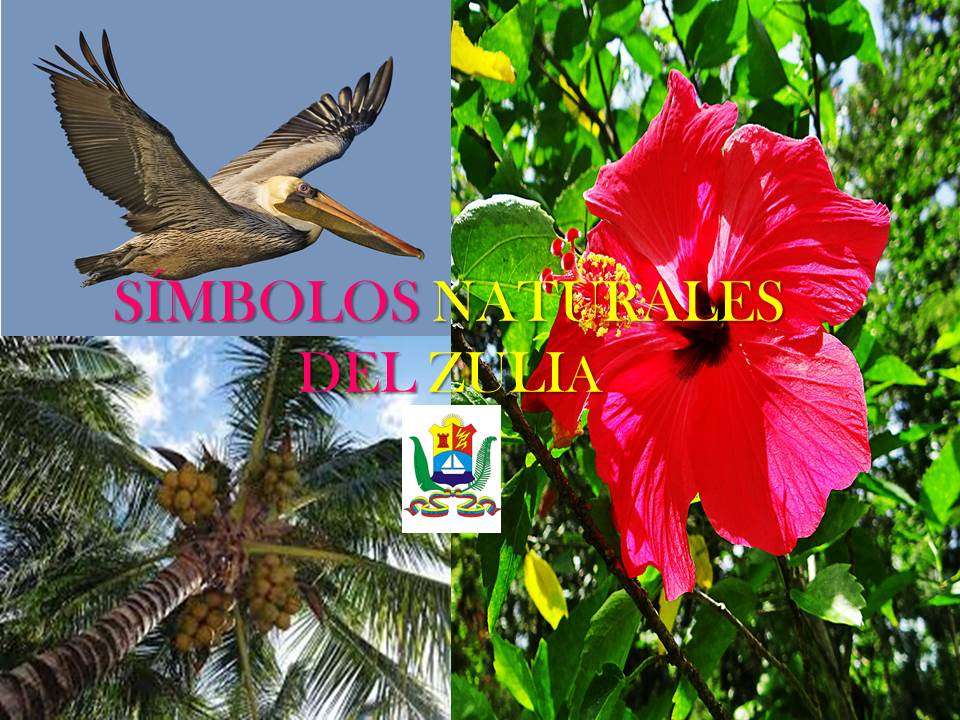 SIMBOLI puzzle online