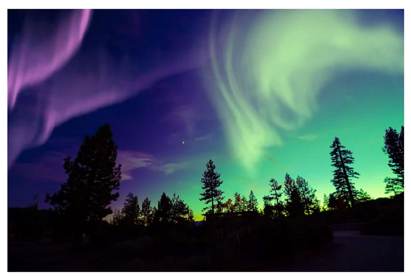 aurora borealis erdő kirakós online