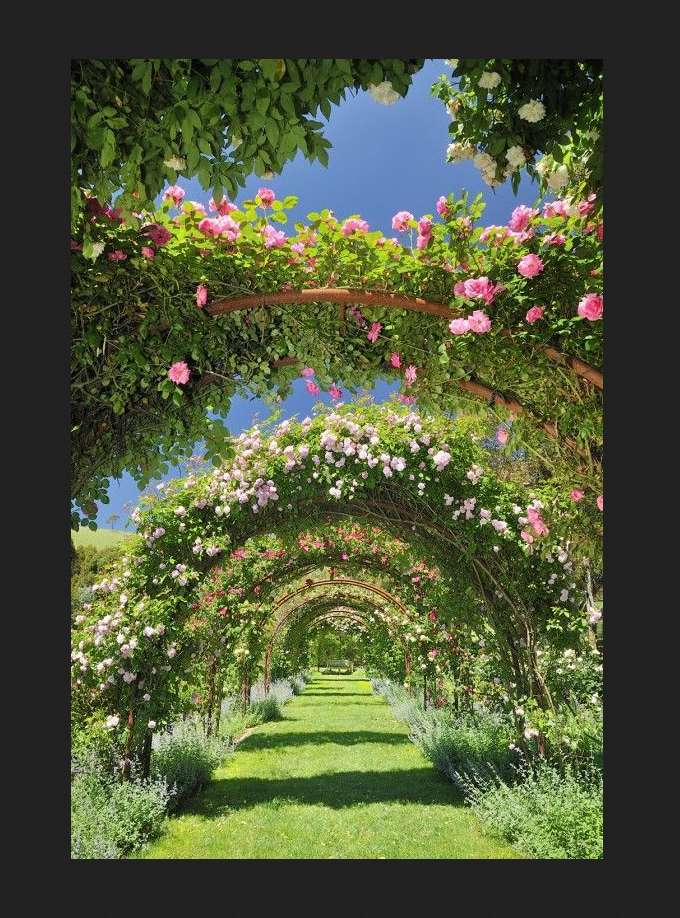 stig, tunnel av blommor. vår Pussel online