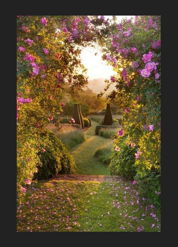 krásná zahrada při západu slunce skládačky online
