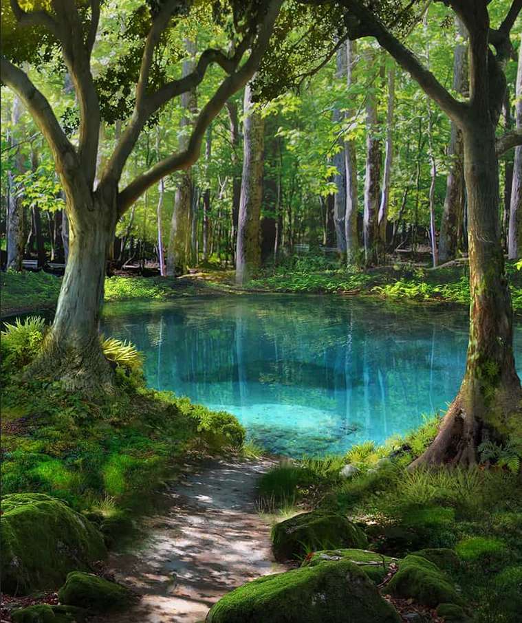 森の中の美しく清らかな秘密の湖 オンラインパズル