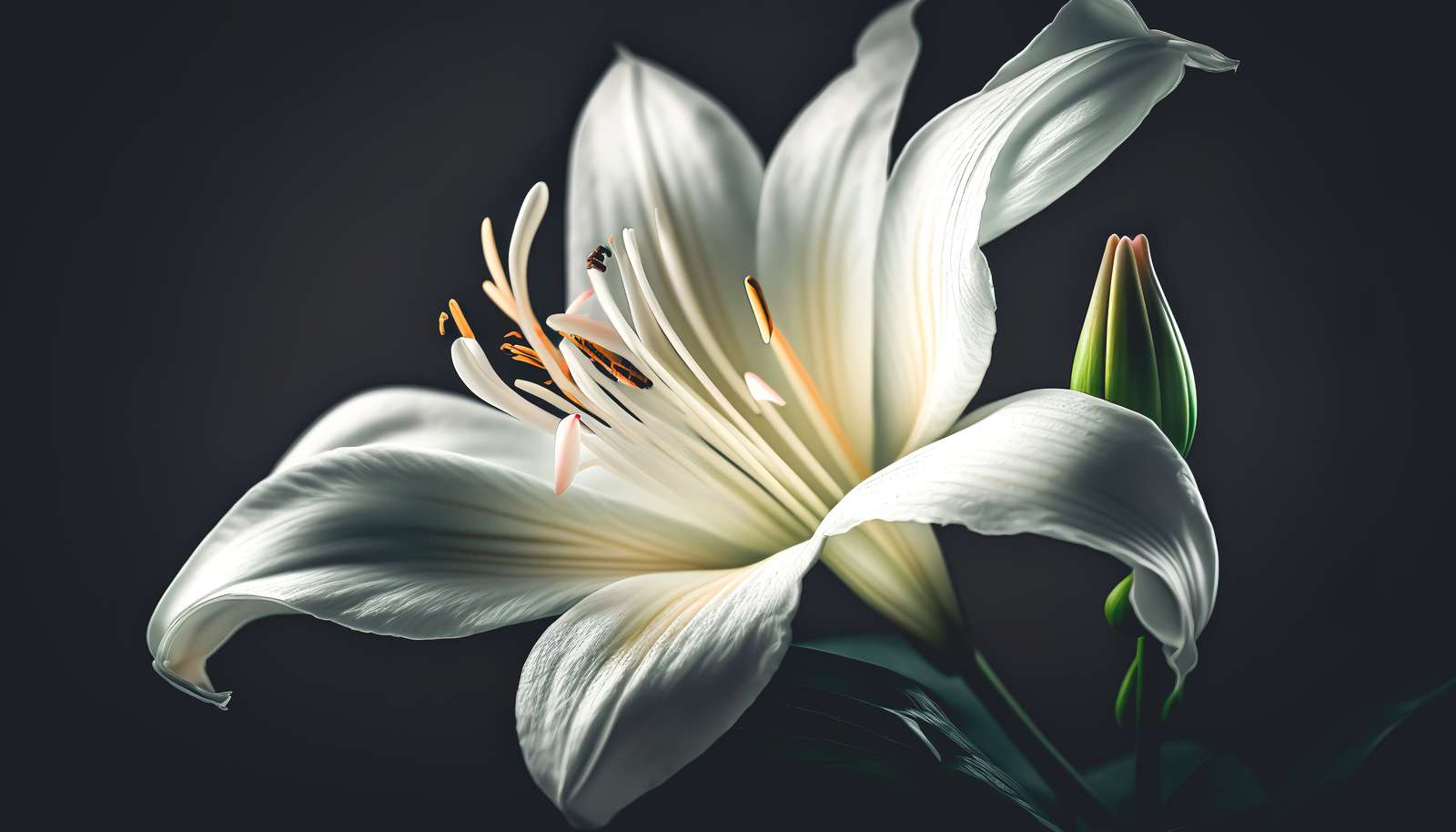 Lily flower online puzzle