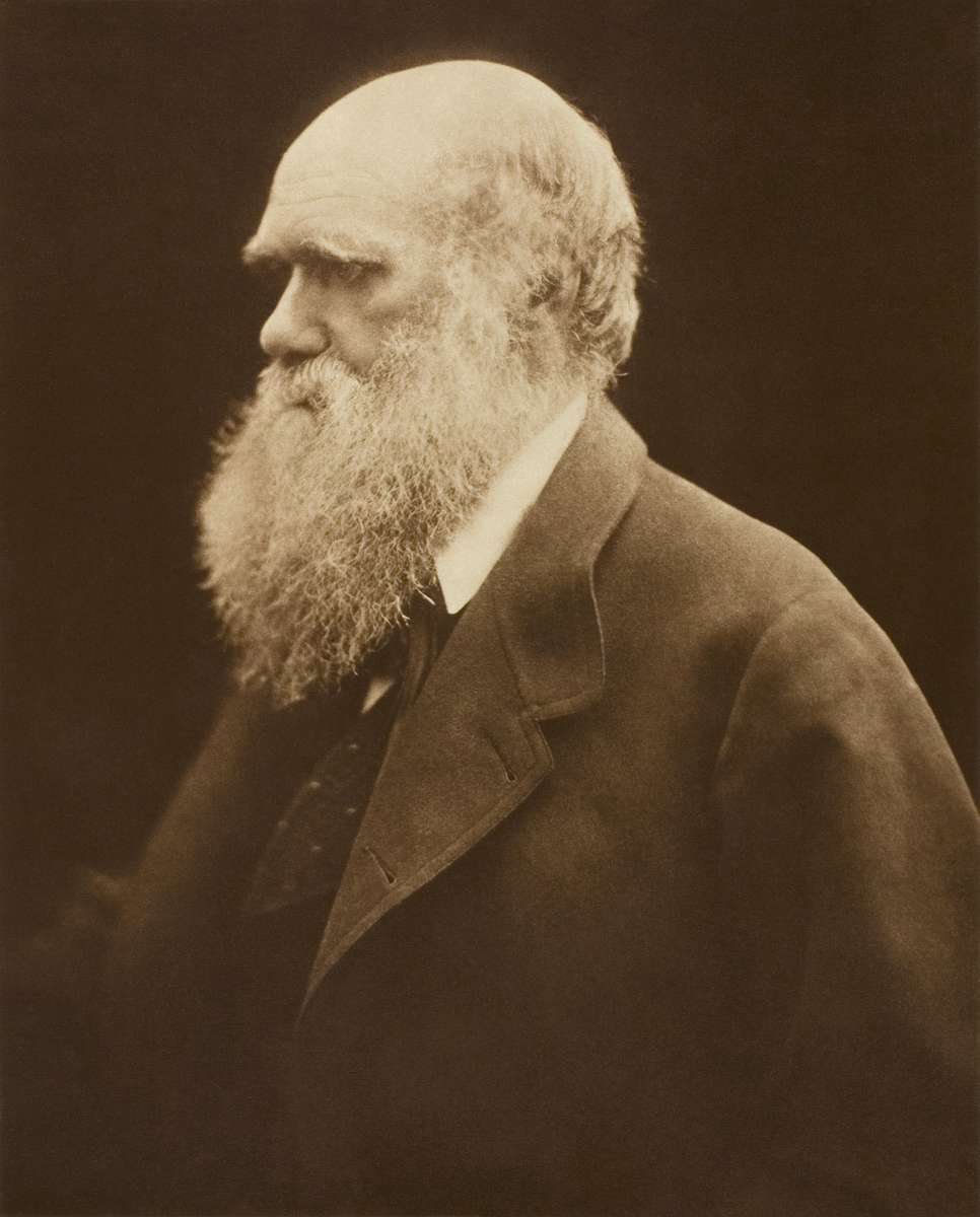 Charles Darwin legpuzzel online