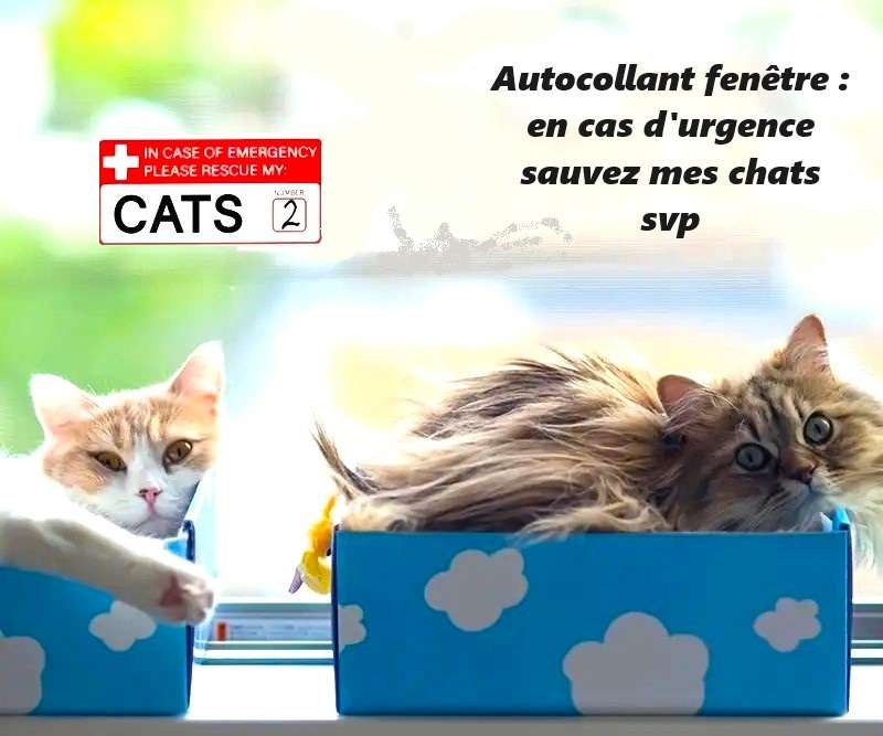 Autocollant: en cas d'urgence sauvez mes chats! puzzle en ligne