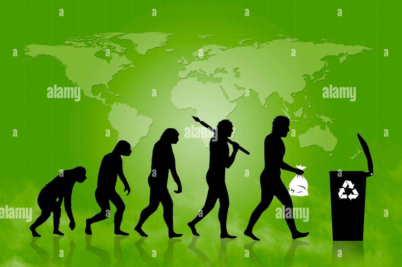 Evoluce ekologie skládačky online
