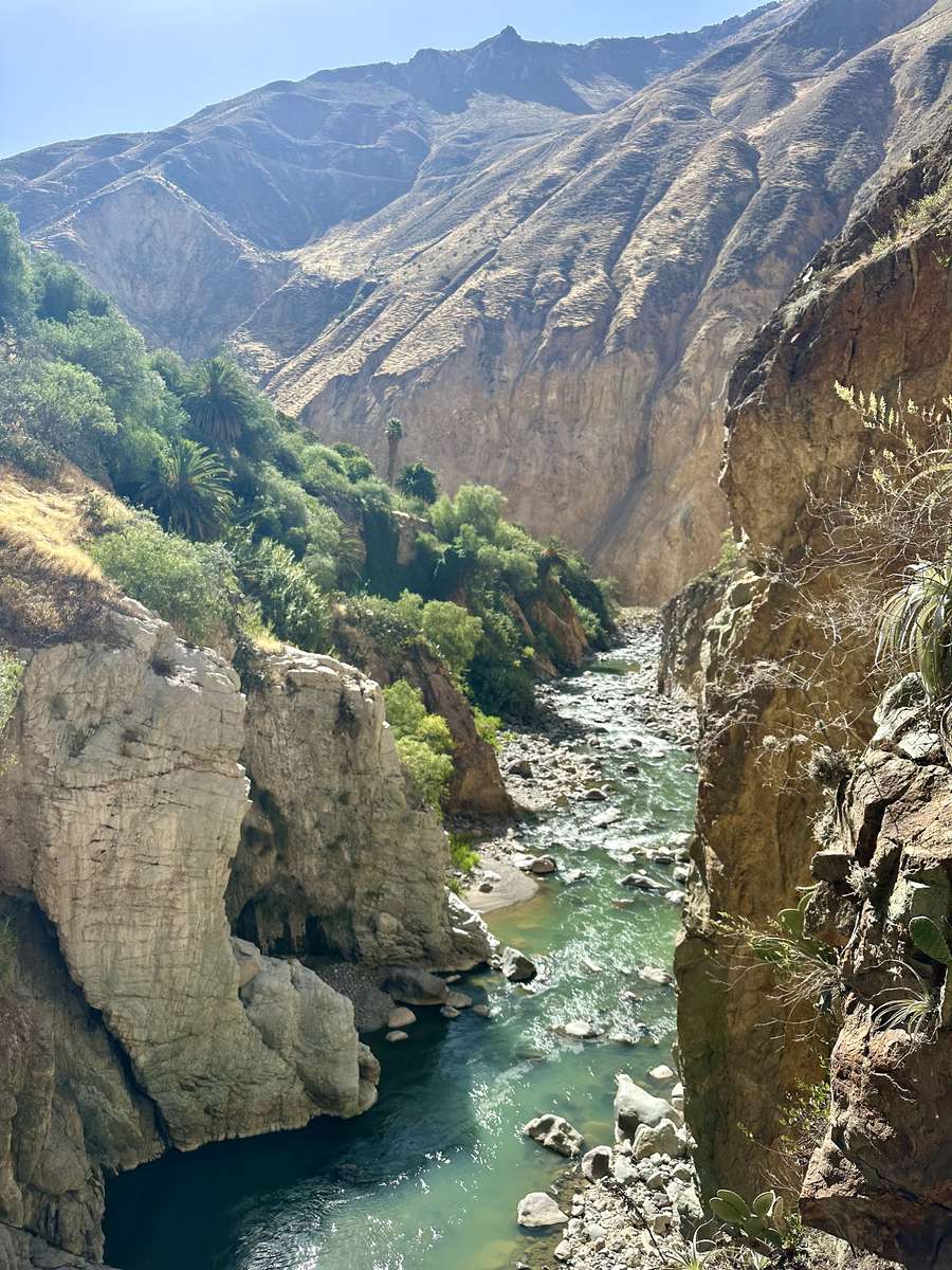 Colca Canyon Pussel online