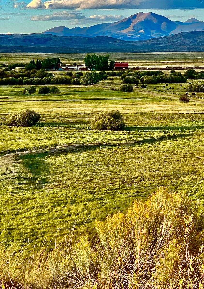 Horse Prairie din Montana jigsaw puzzle online