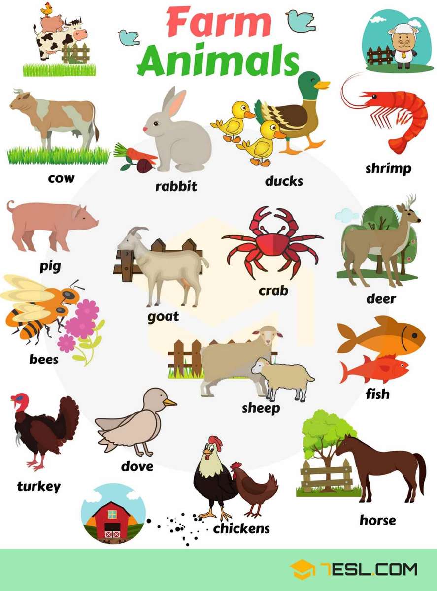 селскостопански животни на английски онлайн пъзел