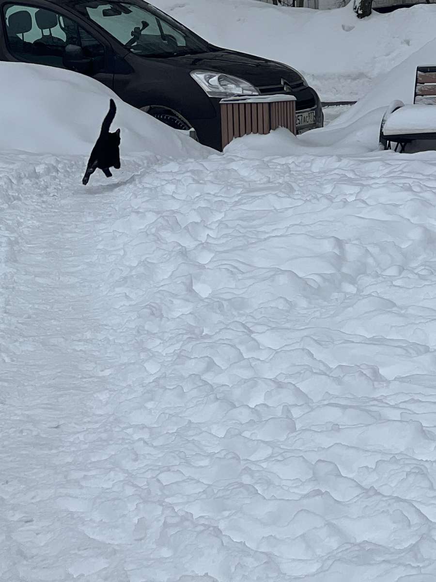 Ядижіїжі пазл онлайн