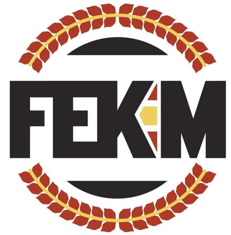 FEKM-trap legpuzzel online