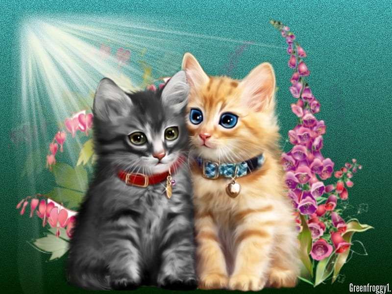gatos apaixonados puzzle online