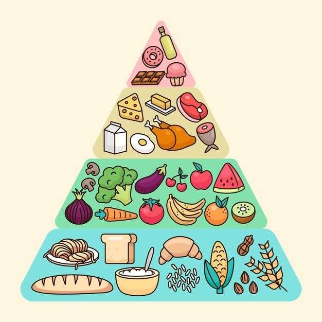 Πυραμίδα τροφίμων online παζλ
