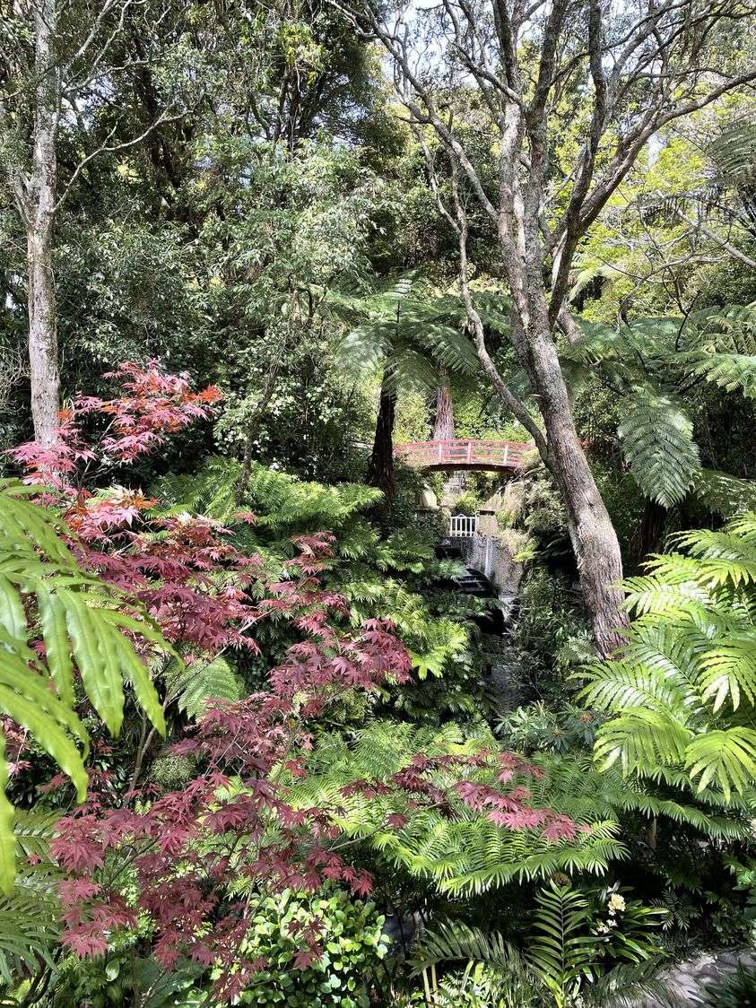 ニュージーランドの庭園 ジグソーパズルオンライン