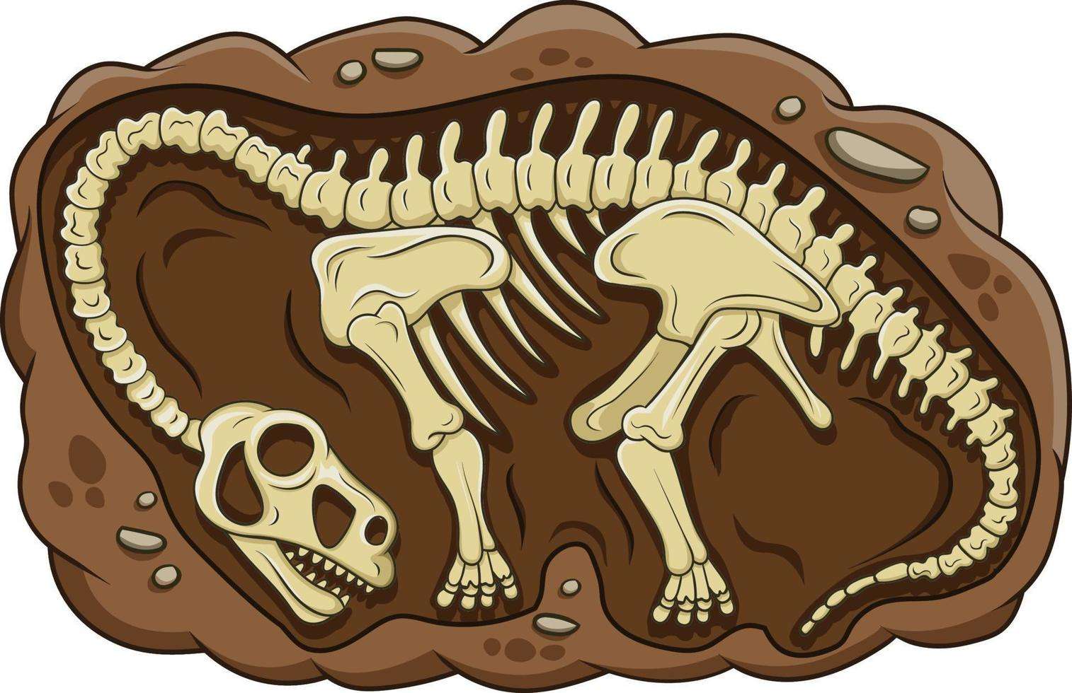 Fossile 1 puzzle online