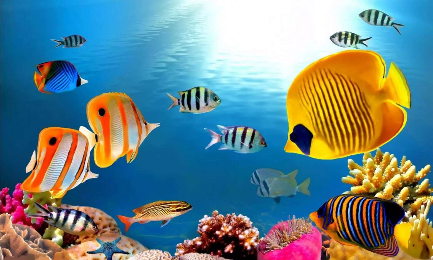 рыба и подводный пейзаж онлайн-пазл