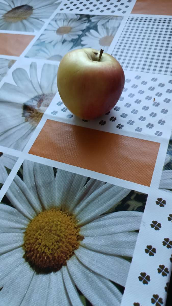 Măr pe masă puzzle online