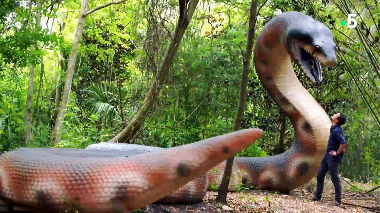 titanoboa jigsaw puzzle online